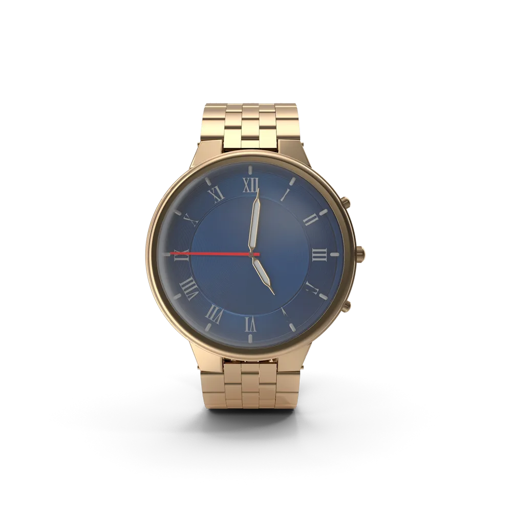 Picture of Ferro Chronograph Watch