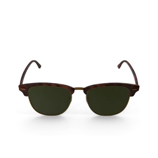 Picture of Brava Wayfarer Sunglasses