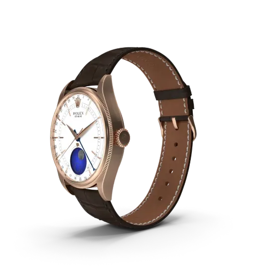Picture of Brava Diver Watch