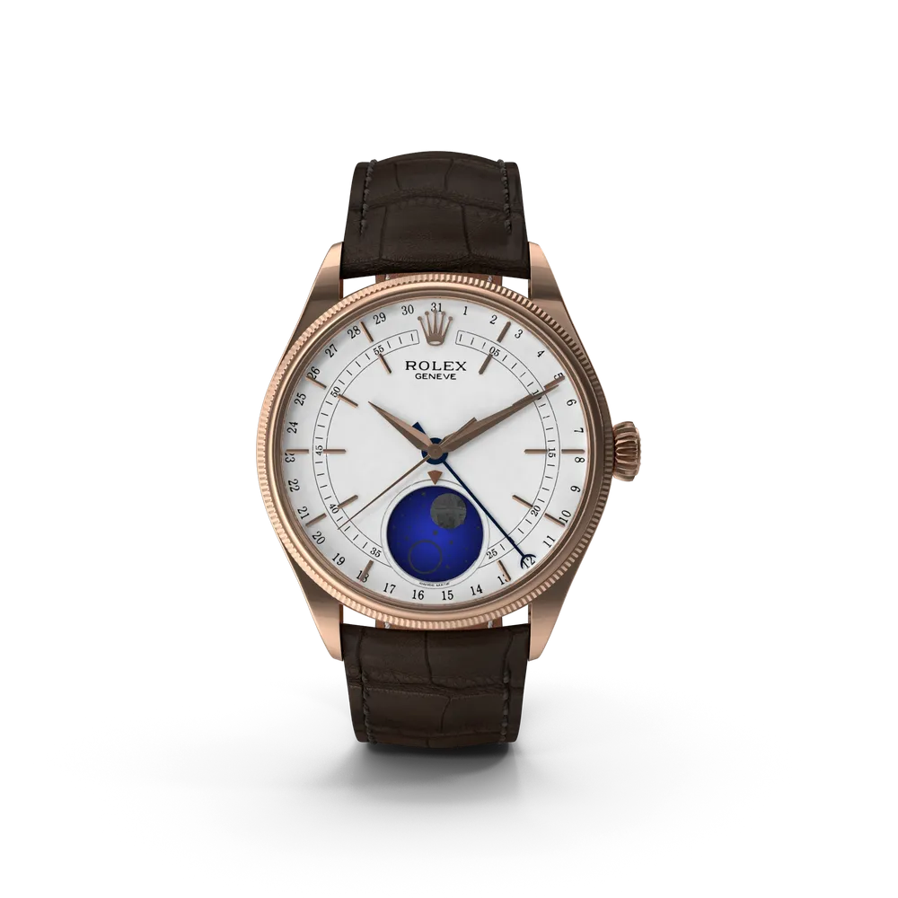 Picture of Halcyon Rust Field Watch