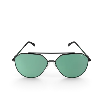Picture of Ferro Wayfarer Sunglasses