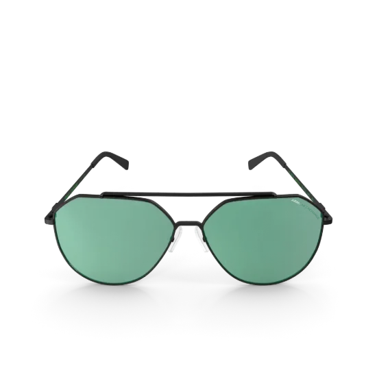 Picture of Atlas & Co Black Wayfarer Sunglasses