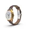 Picture of Aurora Field Watch